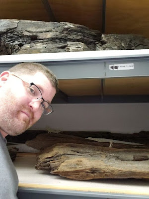 Selfie of man with cropped hair and glasses standing in front of collections storage shelves with pieces of wood