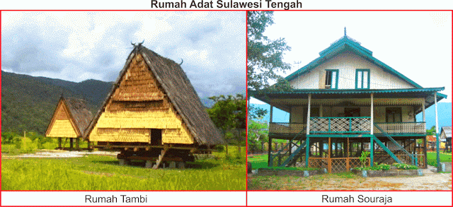 rumah adat sulawesi tengah