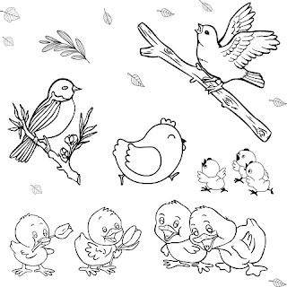 Birds Coloring Pages