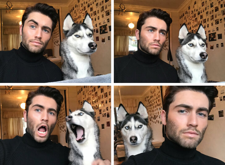 28 Hilarious Pictures Of Animals Imitating Their Humans Perfectly