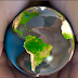 Going Beyond Education Policies