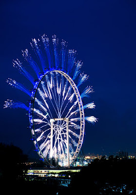 Want to enjoy the view of Singapore from the top? try the Singapore Flyer, Singapore