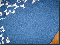 Cheryl's Colts Quilt 2