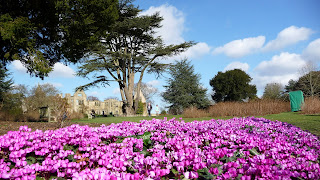 Spring at Nymans Gardens National Trust