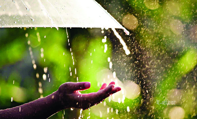 Monsoon rain wet step flower pictures - step flower pictures, picture download - step flower - NeotericIT.com