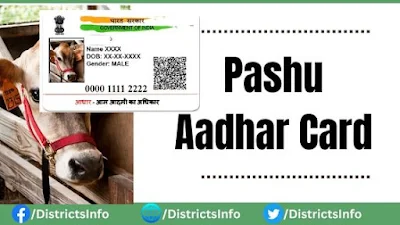 Pashu Aadhar Card