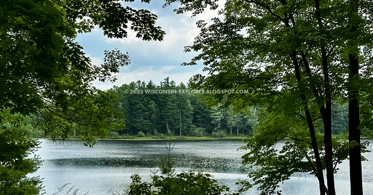 calm lake through trees