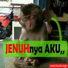 Animasi DP BBM Lucu