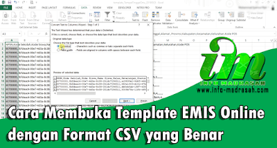 Cara Membuka Template EMIS Online dengan Format CSV yang Benar - Seperti yang kita ketahui, bahwa EMIS Online mengeluarkan fitur baru yaitu Fitur Template. Dimana nantinya perubahan atau updating data siswa semuanya dilakukan melalui template. Menurut kami ini adalah salah satu fitur yang cukup bagus dan membuat pekerjaan lebih mudah dan cepat, tetapi dalam waktu sekarang ini fitur template tersebut masih mengalami beberapa kekurangan. Seperti template yang masih belum sempurna, tutorial yang kurang details, dan juga error ketika mengupload template.