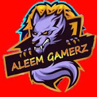 Aleem Gamerz Custom