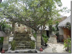 DSCN2568