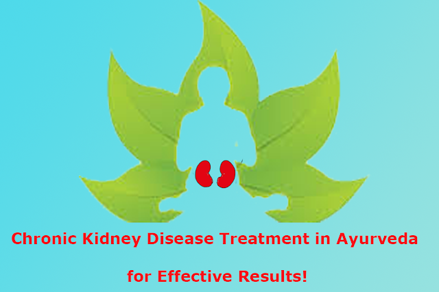 Chronic Kidney Disease Treatment in Ayurveda for Effective Results!