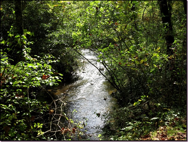 creekIMG_3588