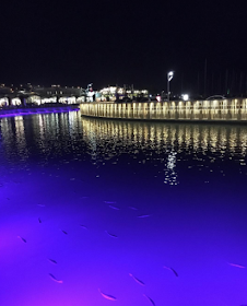 bodrum-turgutreıs-akyarlar-denız-sahıl-tatıl-travel-holıday-blog-summer-sea-photo