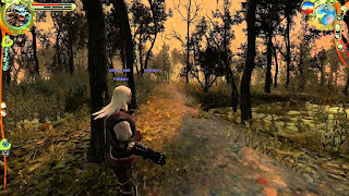 The Witcher (2008) screenshot3