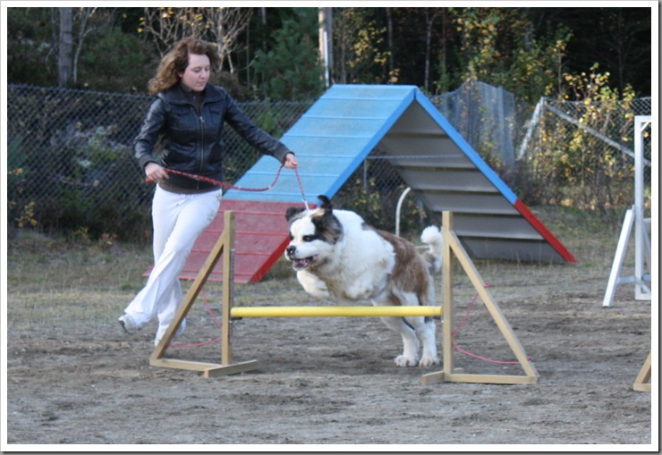 ag-kurs 046