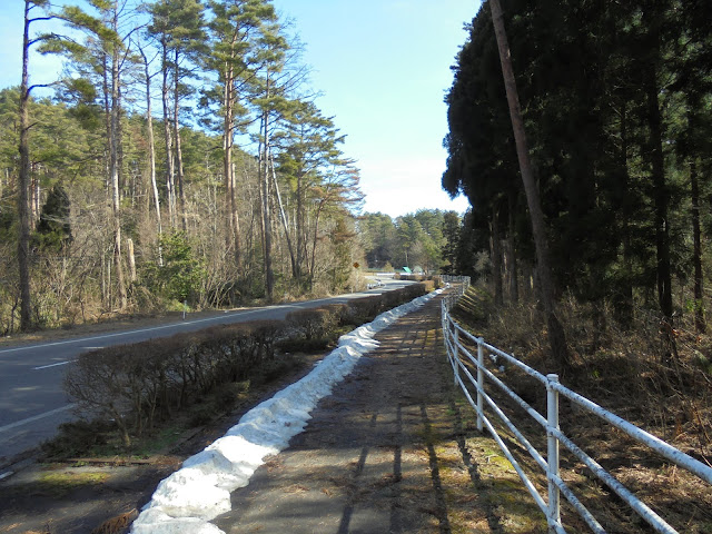 ロイヤルホテルの歩道