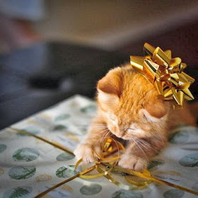 Funny cats - part 93 (40 pics + 10 gifs), kitten playing with ribbon