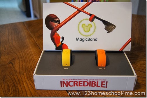magic bands presentation is amazing! You want one too, don't you!