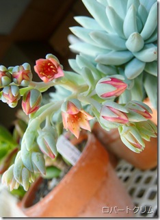 P1070501