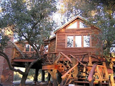 TreeHouse