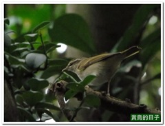 20111102_093554_006