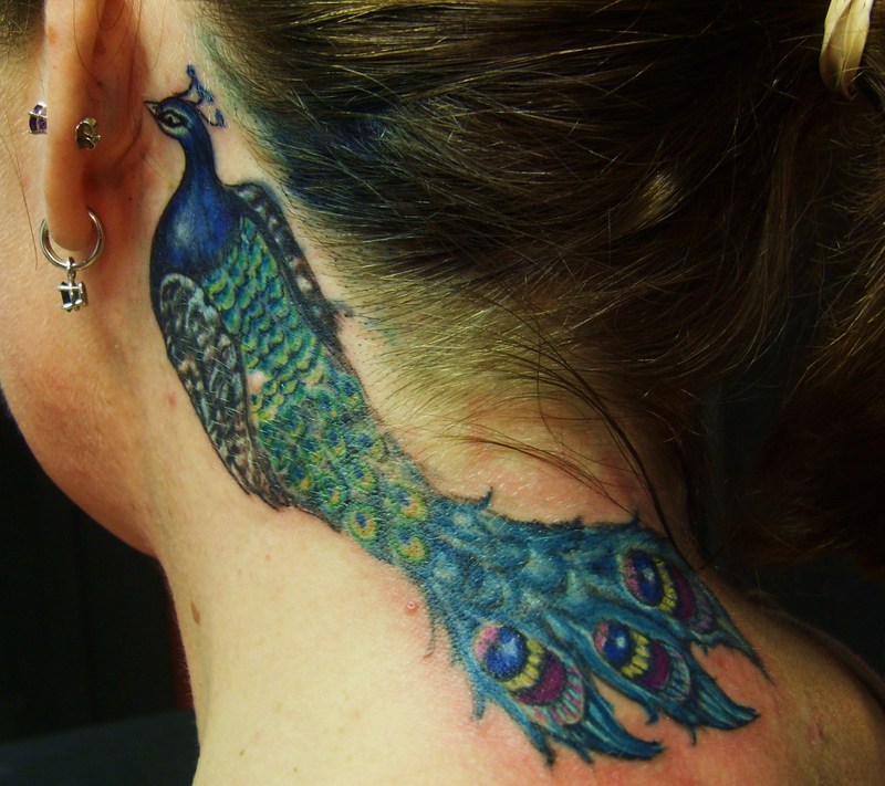 small bird tattoo. black ird tattoo. peacock