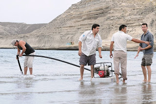 Rescate de delfin en la Playa de Puerto Piramides