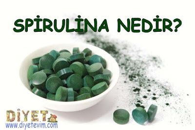 spirulina hakkında