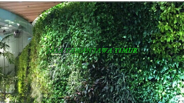 JASA TUKANG TAMAN VERTICAL SURABAYA, JASA PEMBUATAN VERTICAL GARDEN SURABAYA, JASA VERTICAL GARDEN SURABAYA BARAT, SURABAYA UTARA, SURABAYA TIMUR, SURABAYA SELATAN,  JASA PEMBUATAN TAMAN DINDING SURABAYA, JASA PEMBUATAN GREEN WALL SURABAYA, JASA PEMBUATAN ARTICIAL PLANT SURABAYA, JASA PEMBUATAN TAMAN VERTICAL GARDEN SINTETIS SURABAYA, HARGA PEMBUATAN VERTICAL GARDEN DI SURABAYA, GAMBAR VERTICAL GARDEN SURABAYA, KONSEP VERTICAL GARDEN SURABAYA, JASA TUKANG TAMAN VERTICAL GARDEN MURAH DI SURABAYA, JASA PEMBUATAN VERTICAL GARDEN INDOOR, JASA PEMBUATAN VERTICAL GARDEN OAUTDOOR, segera hubungi kami untuk mendapatkan pelayanan terbaik, roof garden murah, roof garden design, roof garden minimalis, roof garden sederhana, roof garden detail, roof garden medan, roof garden semarang, drainasecell roof garden, versicel roof garden, roof garden indonesia, roof garden jakarta, roof garden system, roof garden, roof garden adalah, drainasecell, versicell, alat roof garden, cara membuat roof garden, peralatan roof garden, roof top, top roof garden, taman dak atas, cara membuat taman dak, taman atap roof garden, taman roof garden, roof garden apartment, tukang taman vertikal, vertikal garden murah, vertikal garden sederhana, vertikal garden jakarta, tukang taman vertical, vertical garden murah, vertical garden sederhana, vertical garden jakarta, tukang taman vertikal di cibubur, tukang taman vertikal bintaro, tukang taman vertikal tangerang, tukang taman vertikal jakarta, tukang taman vertikal serpong, tukang taman vertikal jakarta , tukang taman vertikal bekasi, tukang taman vertikal di bintaro, tukang taman vertikal semarang, tukang taman vertikal pekalongan, tukang taman vertikal batang, tukang, taman vertikal cirebon, tukang taman vertikal karawang, tukang taman vertikal surabaya, tukang taman vertikal solo, tukang taman vertikal yogyakarta, tukang taman vertikal bali, tukang taman vertikal medan, tukang taman vertikal batam, tukang taman vertikal jakarta timur, tukang taman vertikal jakarta pusat, tukang taman vertikal jakarta selatan, tukang taman vertikal jakarta barat, tukang taman vertikal jakarta utara, tukang taman vertikal tangerang, tukang taman vertikal serpong, tukang taman vertikal perumahan, tukang taman vertikal murah, tukang taman vertikal kalimantan, tukang taman vertikal makssar, tukang taman vertikal papua, tukang taman vertikal Lombok, vertikal sederhana, taman vertikal paralon, taman vertikal jakarta, taman vertikal pdf, taman vertikal dari botol bekas, taman vertikal murah, taman vertikal rumah minimalis, taman vertikal adalah, taman vertikal dalam rumah, taman vertikal, taman vertikal minimalis, taman vertikal anggrek, taman vertikal botol, taman vertikal di bandung, taman vertikal menggunakan botol bekas, taman vertikal dari batu bata, biaya taman vertikal, buat taman vertikal, contoh taman vertikal, cara taman vertikal, contoh taman vertikal garden, taman vertikal di rumah, taman vertikal di lahan sempit, taman vertikal di dinding, taman vertikal dinding, taman vertikal dengan paralon, taman vertikal depok, fungsi taman vertikal, foto taman vertikal, taman vertikal garden, taman gantung vertikal, gambar taman vertikal minimalis, cara membuat taman vertikal garden, gambar taman vertikal, griya taman vertikal, desain taman vertikal garden, taman vertikal hidroponik, taman vertikal harga, harga taman vertikal murah, taman vertikal indonesia, taman vertikal indoor, taman vertikal italia, ide taman vertikal