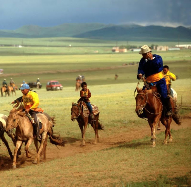 Mongolian Horses Seen On www.coolpicturegallery.us