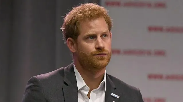 Prince Harry Issues Stern Warning in the Wake of Aviation Honor