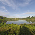 Danau Cisawang Gunungsindur, Kabupaten Bogor