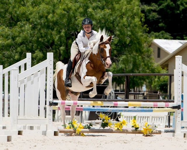 Genie Images, Jeanne Harford, equine photographers, event photographers, San Antonio photographers,horses, horse photography, Texas equine photographe