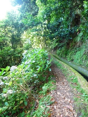 P1040171