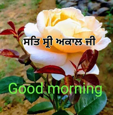 Beautiful Sat Sri Akal Ji Good Morning 