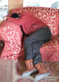 Robyn's Shanghai Nappers