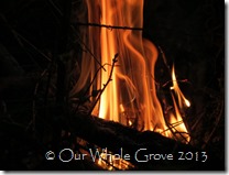 small fire kindled