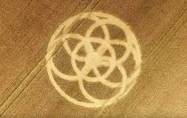 Crop Circle at New Hall, Nr Sutton, Essex. Reported 18th July 2016