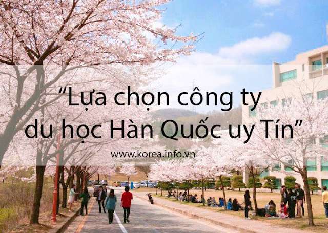 5 Tiêu chí lựa chọn công ty du học Hàn Quốc uy tín để không mất tiền oan