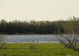 Laguna de 'Los Tollos' (El Cuervo)