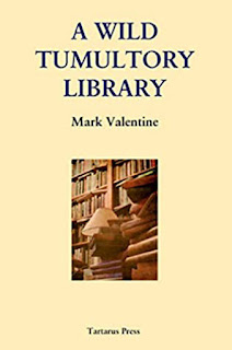 A Wild Tumultory Library by Mark Valentine