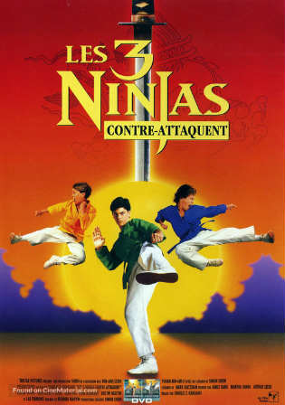 1992 3 Ninjas