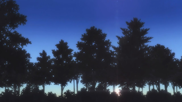 Hunter X Hunter Anime Forest Night Background