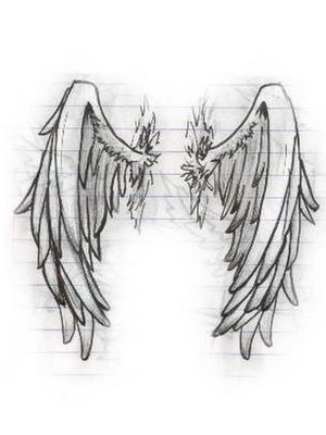 Angel wings have three prominent feathers on each wing