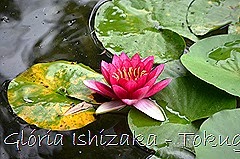 9 -Glória Ishizaka - Tokugawaen - Nagoya - Jp