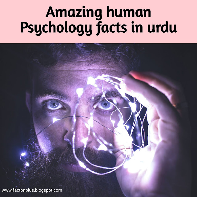 interesting facts about human psychology
