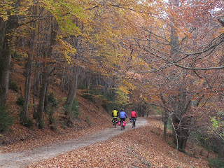 Fageda, novembre 2007