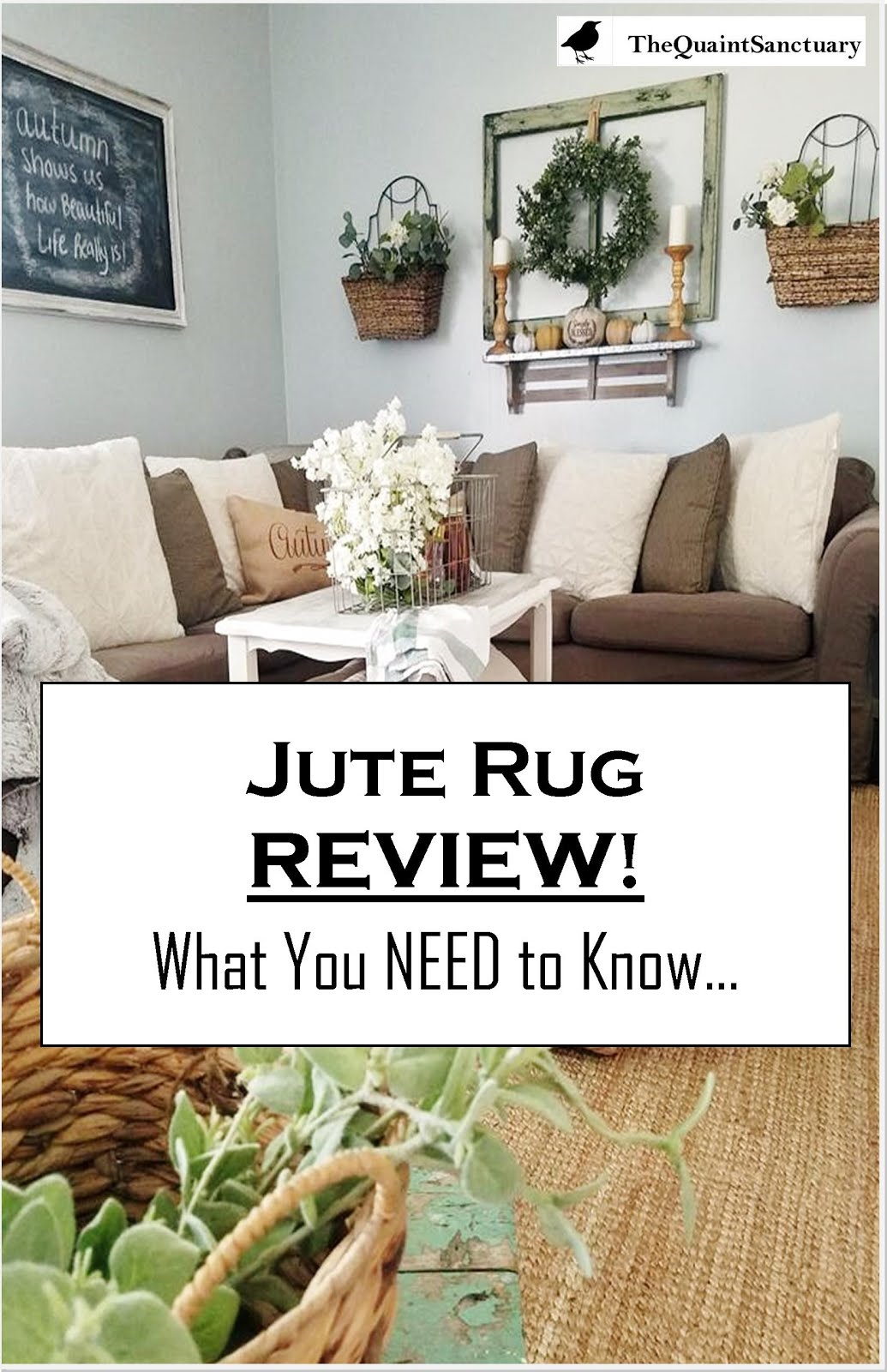 The Quaint Sanctuary Jute Rug REVIEW What You NEED To Know