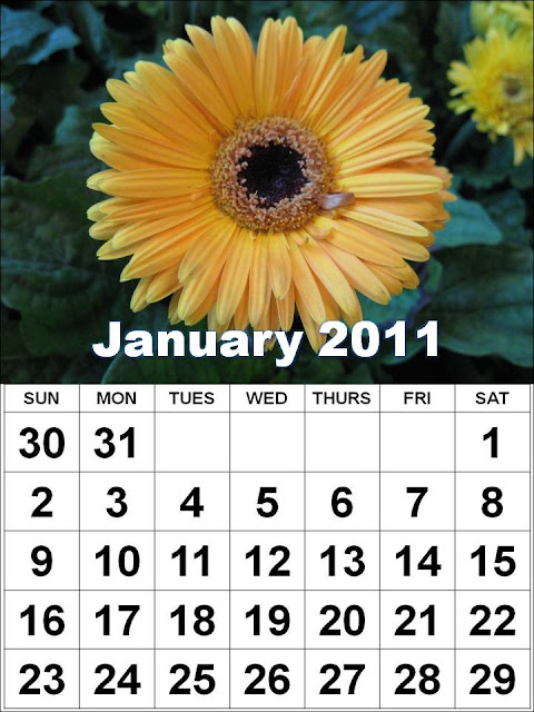 wallpaper 2011 calendar january. january 2011 calendar.